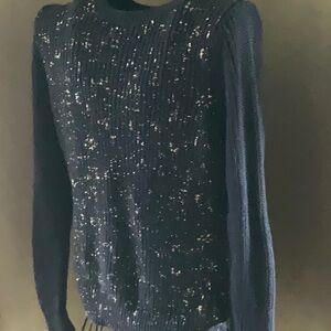 Gap Navy Crewneck Cotton Sweater with Silver Sparkles Sz. XL